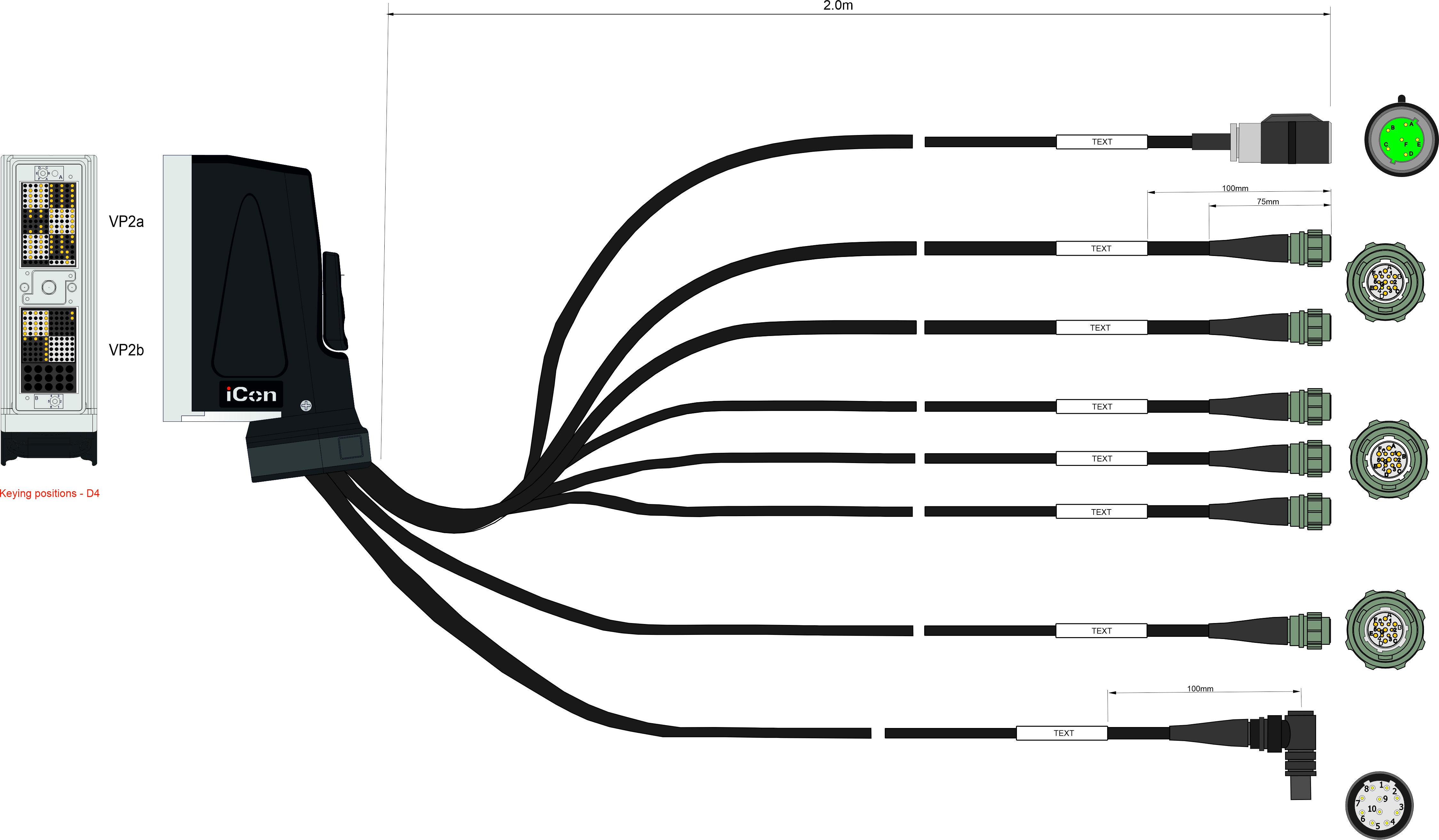 Harness Drawing